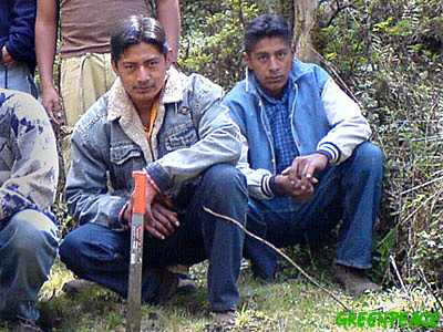 El asesinato de Aldo zamora, joven mexiquense defensor de los bosques, sigue impune