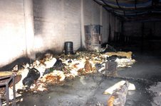 Bodegas que almacenan materiales flamables sin medidas de seguridad han provocado 30 incendios en este año