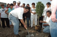 Sembrarán 60 mil árboles para manener el equilibrio del ecosistema y reforestar el municipio